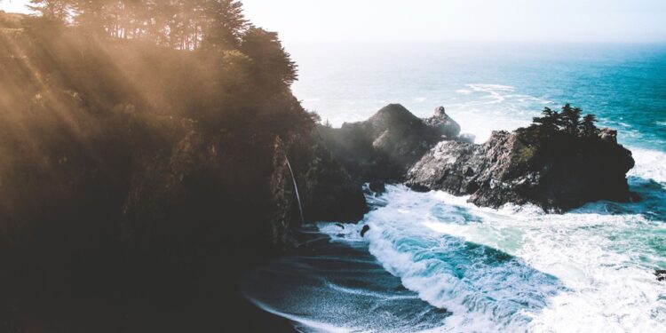 Alcohol: Link Between Liver and Brain May Control Consumption