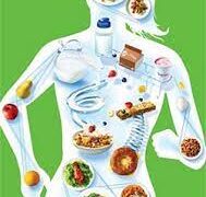 The connection between the food environment and healthy eating