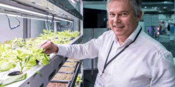 Is vertical farming the future of food production?